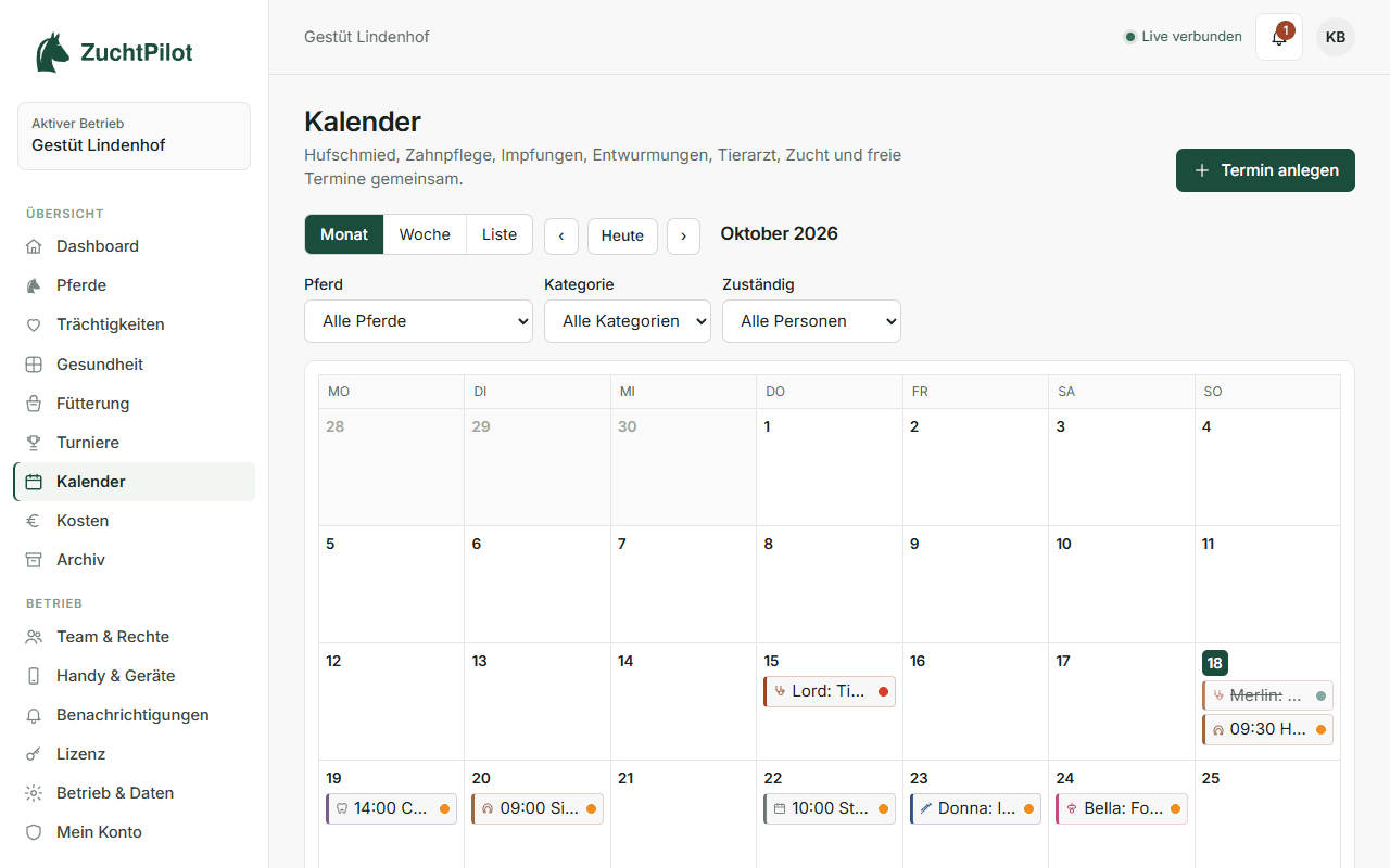 Monatskalender mit farbigen Terminen nach Kategorie